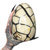 Septarian Dragon's Egg 6  *free shipping*