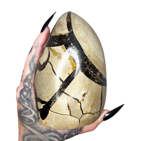 Septarian Dragon's Egg 12
