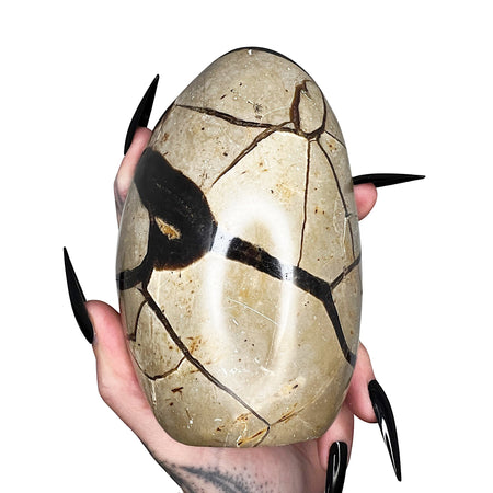 Septarian Dragon's Egg 13