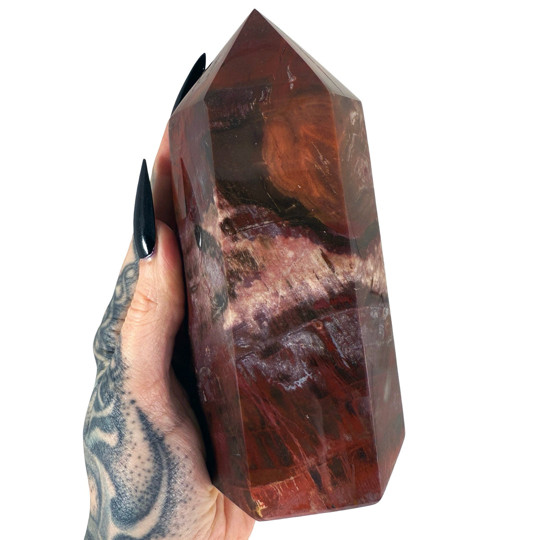Petrified Wood