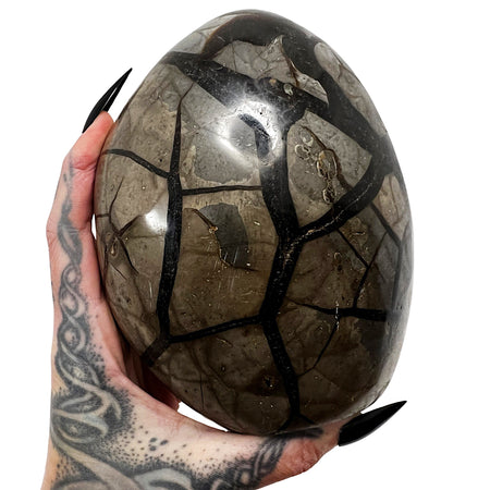 Septarian Dragon's Egg 1 *free shipping*