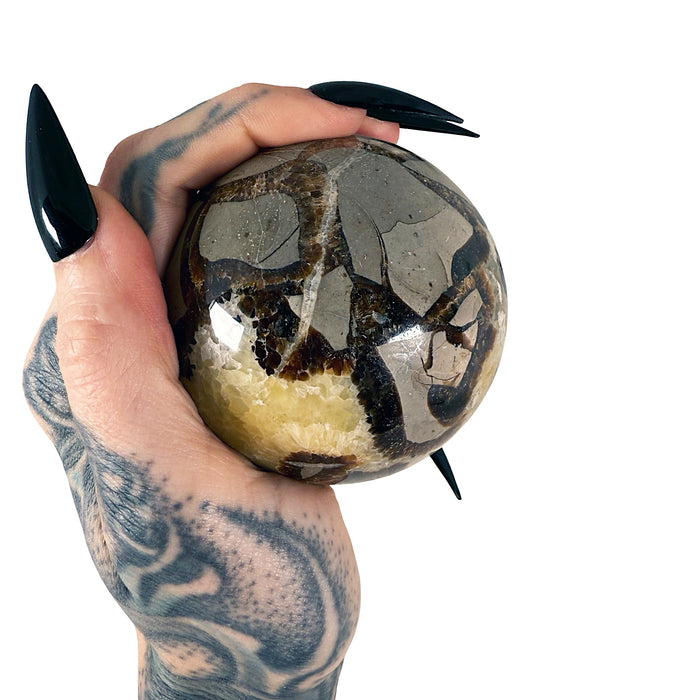 Septarian Sphere 6