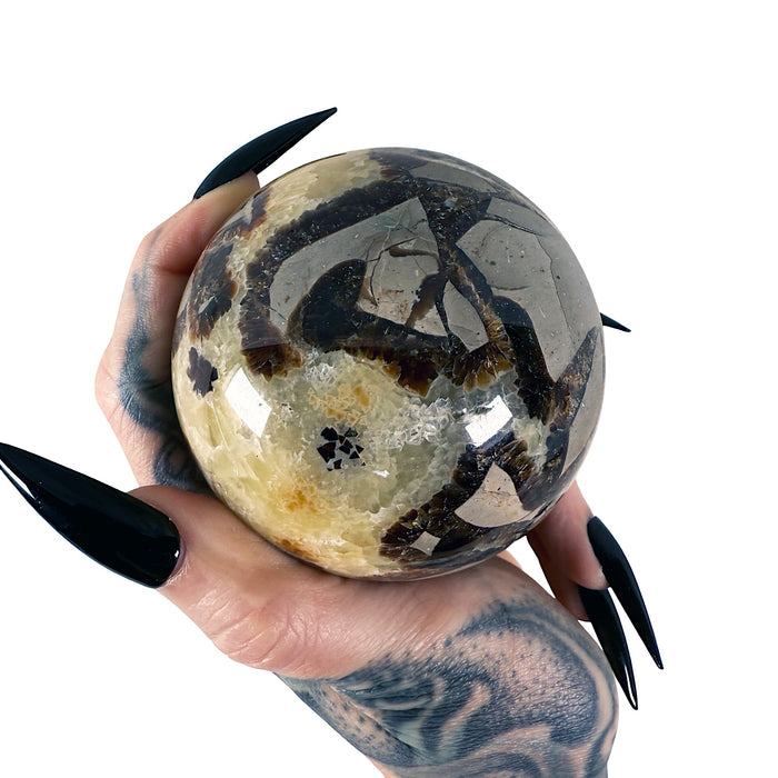 Septarian Sphere 6