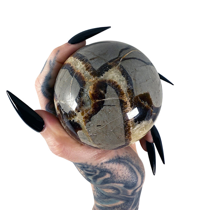 Septarian Sphere 6