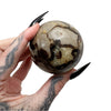 Septarian Dragon's Sphere 5