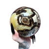 Septarian Dragon's Sphere 1