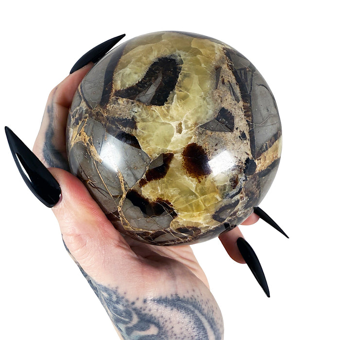 Septarian Sphere 4