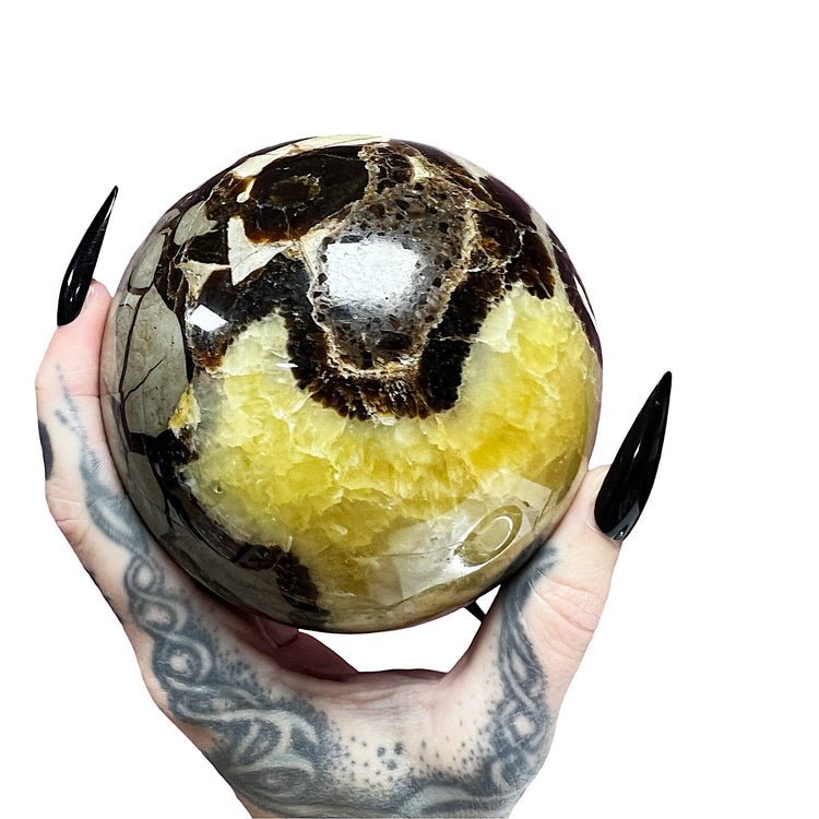 Septarian Dragon's Sphere 1