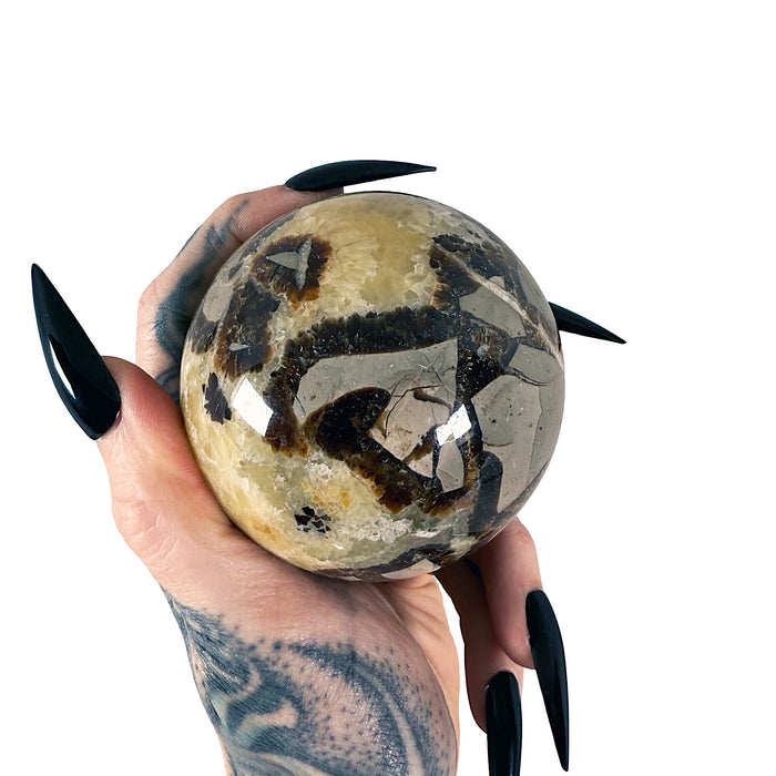 Septarian Sphere 6