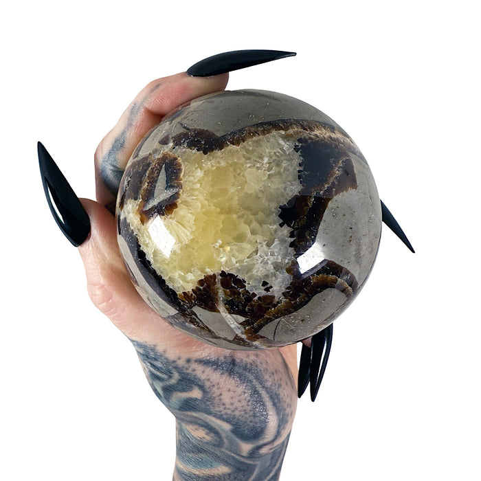 Septarian Sphere 6