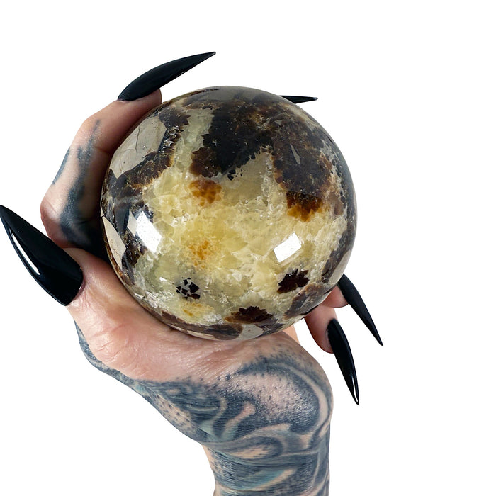 Septarian Sphere 6