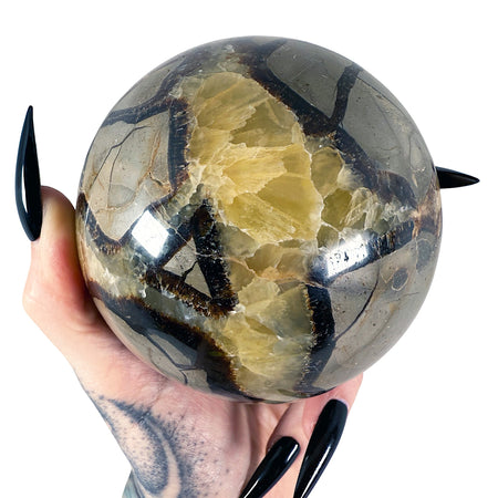 Septarian Sphere 3