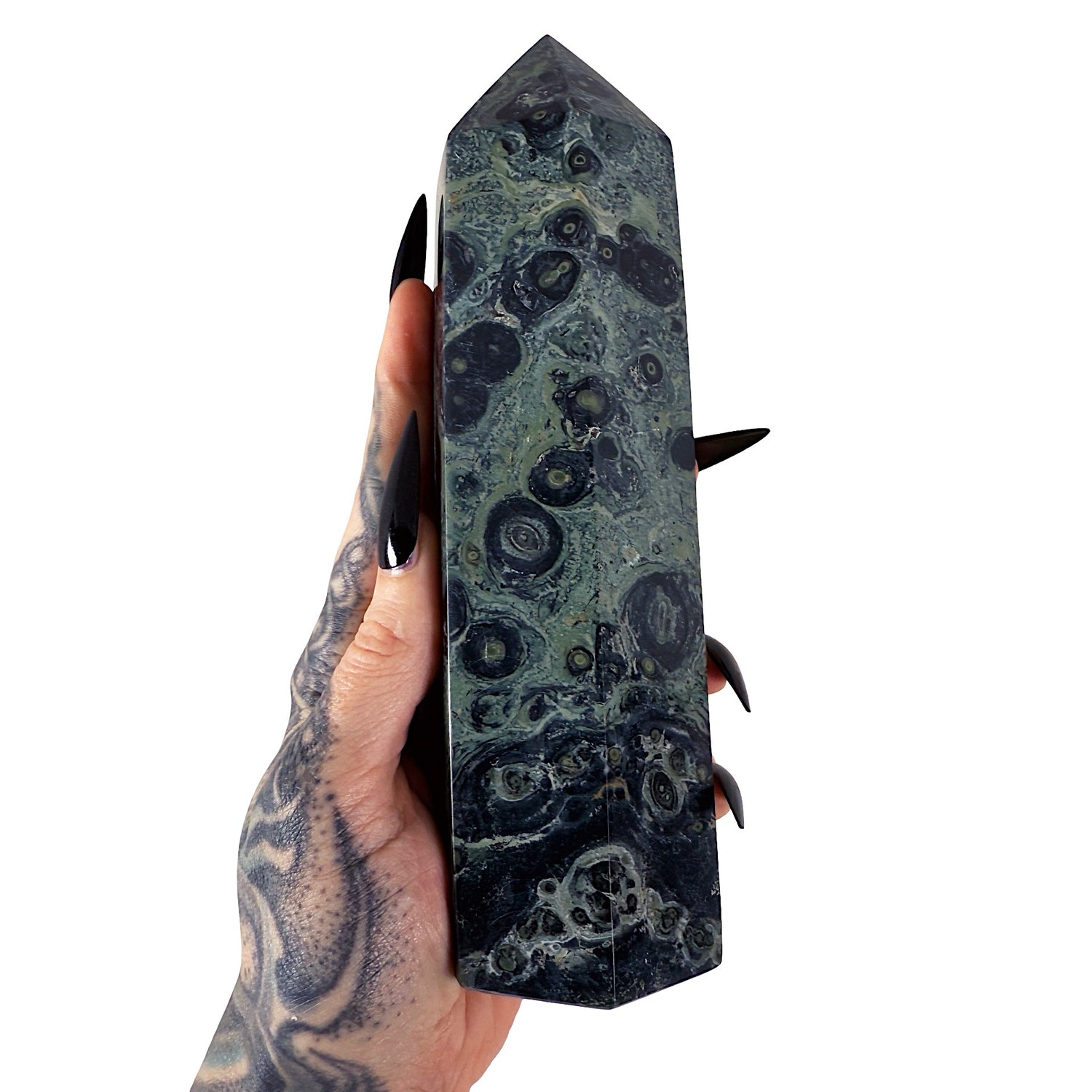 Swamp Witch: Kambaba Jasper