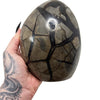 Septarian Dragon's Egg 1 *free shipping*