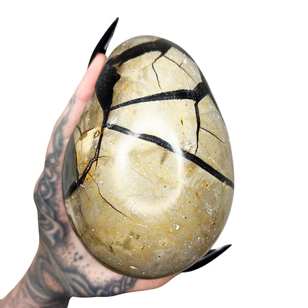 Septarian Dragon's Egg 9
