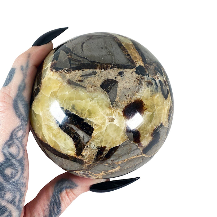 Septarian Sphere 4