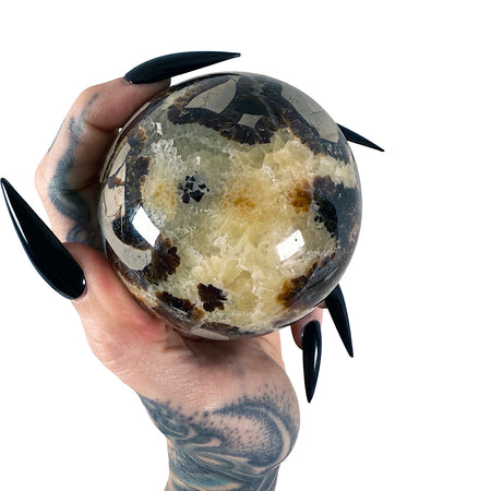 Septarian Sphere 6