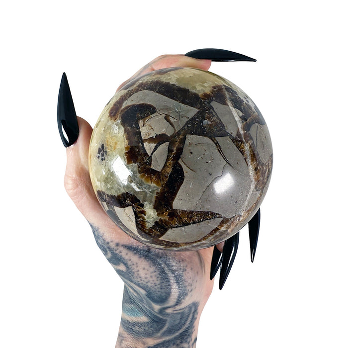 Septarian Sphere 6
