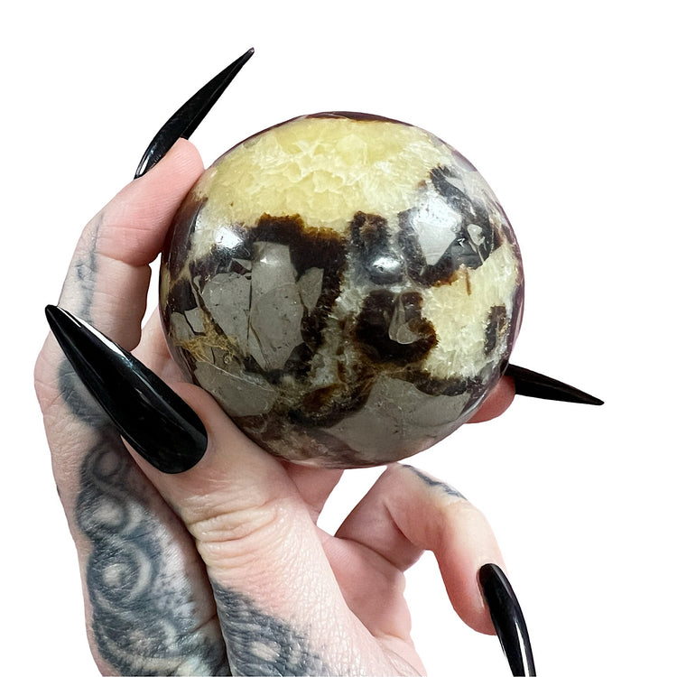 Septarian Dragon's Sphere 5