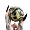 Septarian Dragon's Sphere 5