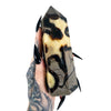 Septarian Tower 8