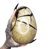 Septarian Dragon's Egg 9