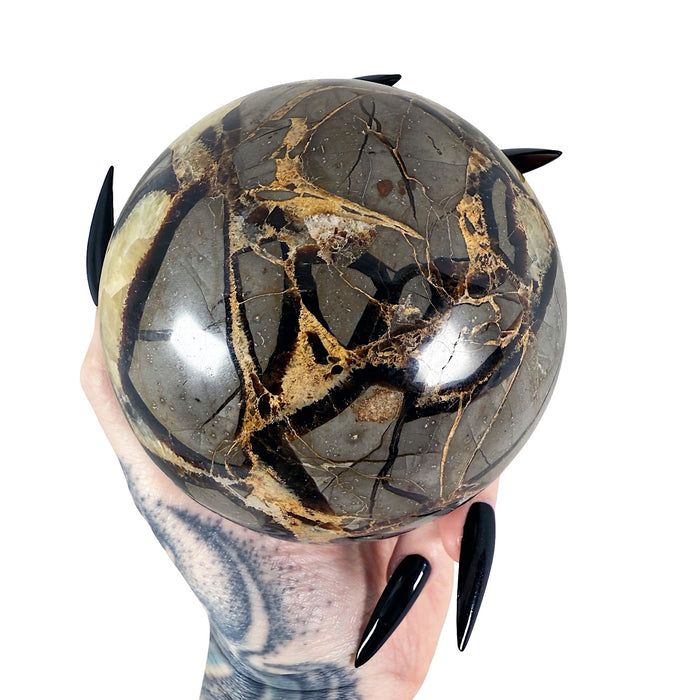 Septarian Sphere 4