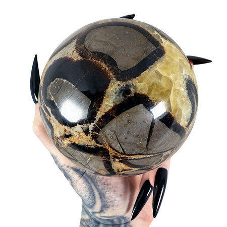 Septarian Sphere 4