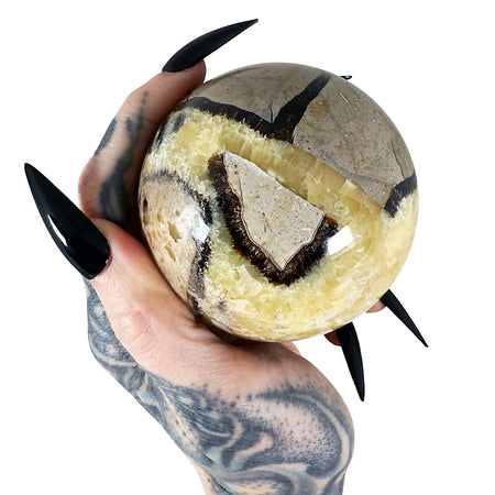 Septarian Sphere 5
