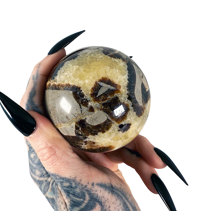 Septarian Sphere 6
