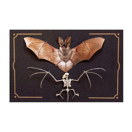 "Nocturne" Bat & Bat Skeleton by Moth & Myth