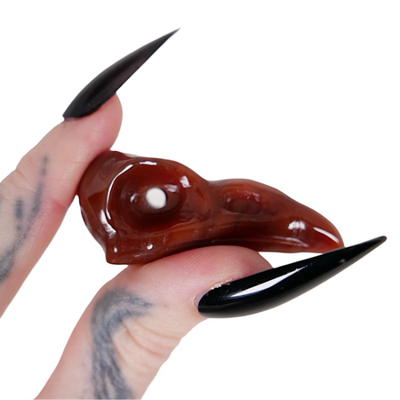 Nevermore: Carnelian Raven Skull