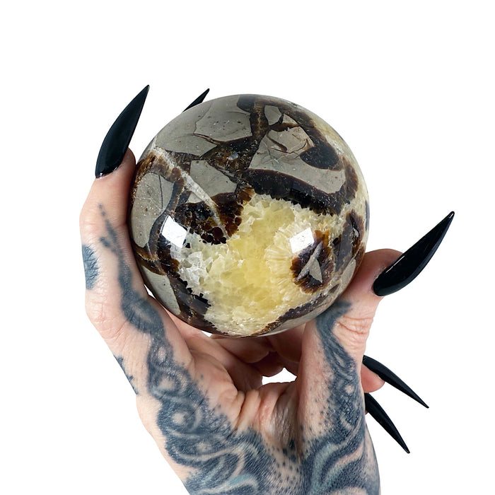 Septarian Sphere 6