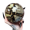 Septarian Dragon's Sphere 1