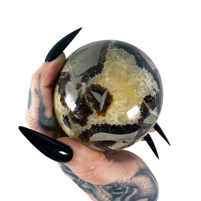 Septarian Sphere 6