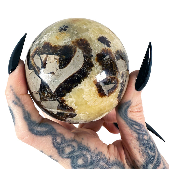Septarian Sphere 6