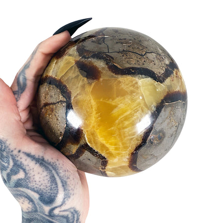 Septarian Sphere 1