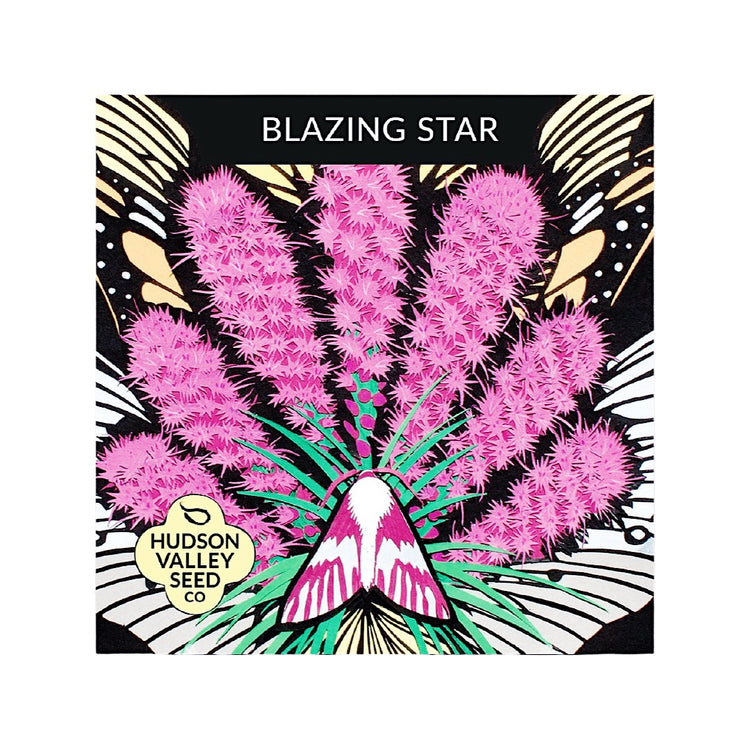 Blazing Star Seed Pack