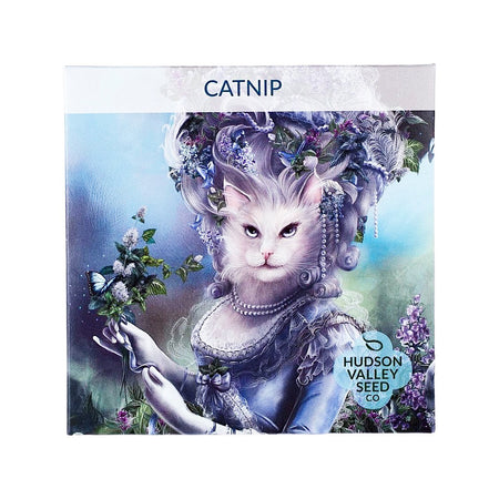 Catnip Seed Pack