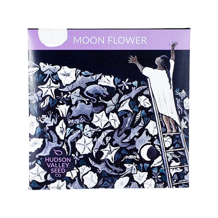 Moon Flower Seed Pack