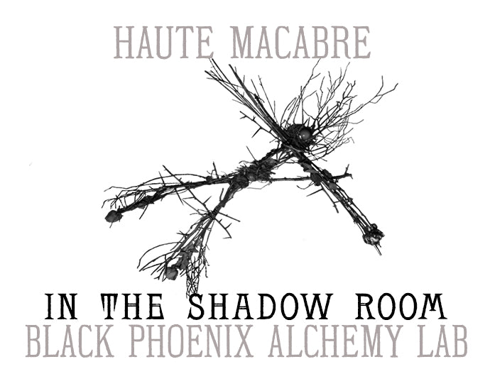 In the Shadow Room by Black Phoenix Alchemy Lab