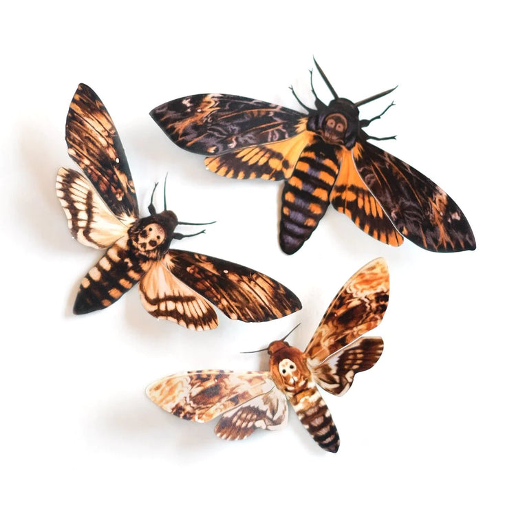 "Memento Mori" Moth Set by Moth & Myth