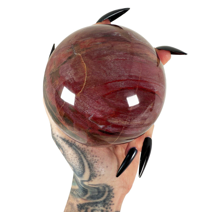 Petrified Wood Sphere 1