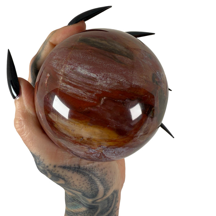 Petrified Wood Sphere 1