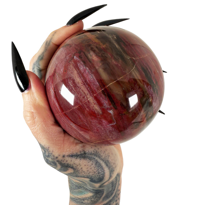 Petrified Wood Sphere 1