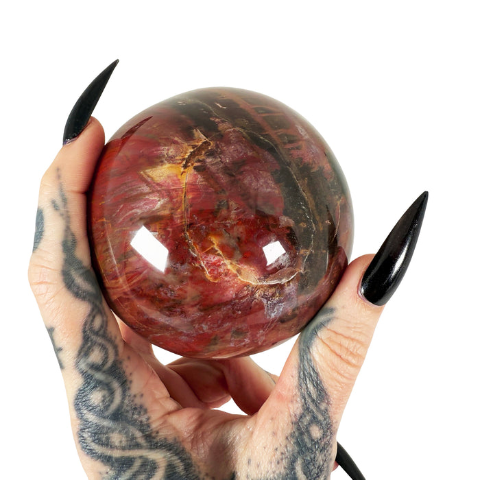 Petrified Wood Sphere 1