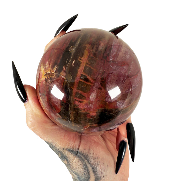 Petrified Wood Sphere 1