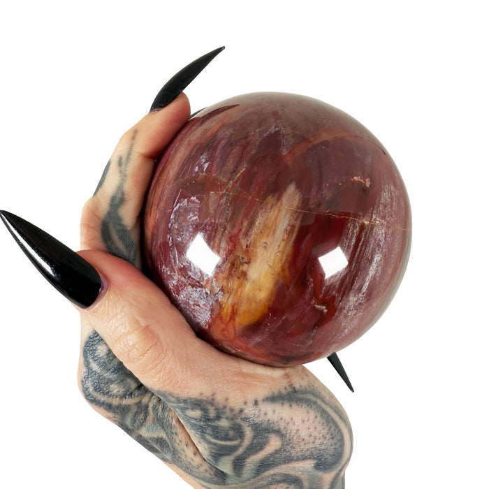 Petrified Wood Sphere 1