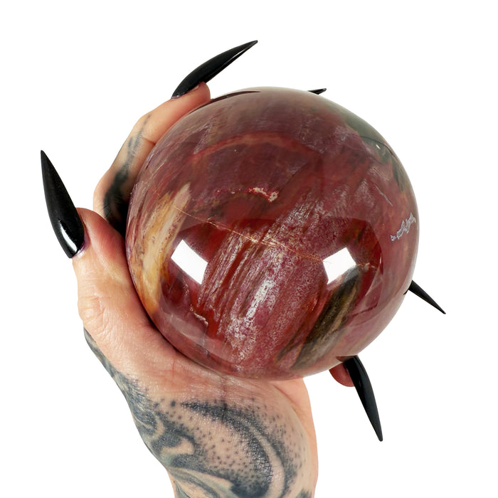 Petrified Wood Sphere 1