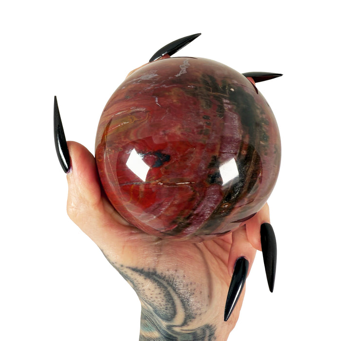 Petrified Wood Sphere 1